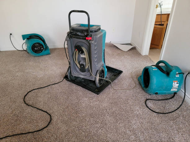 Best Commercial water damage restoration  in El Paso De Robles, CA