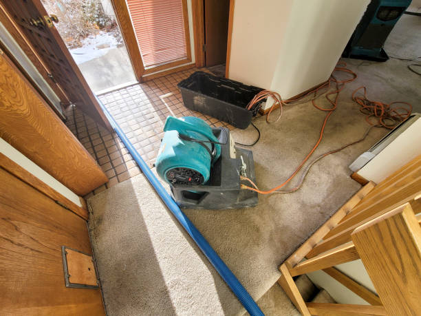 Best Local water damage restoration  in El Paso De Robles, CA