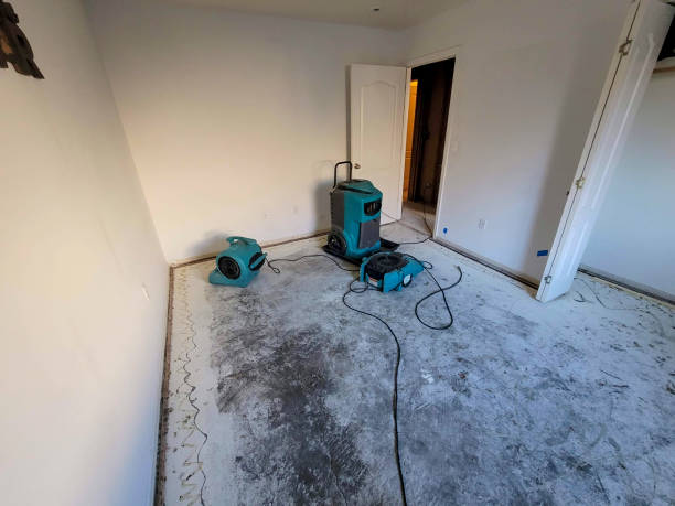 Water damage restoration mold remediation in El Paso De Robles, CA
