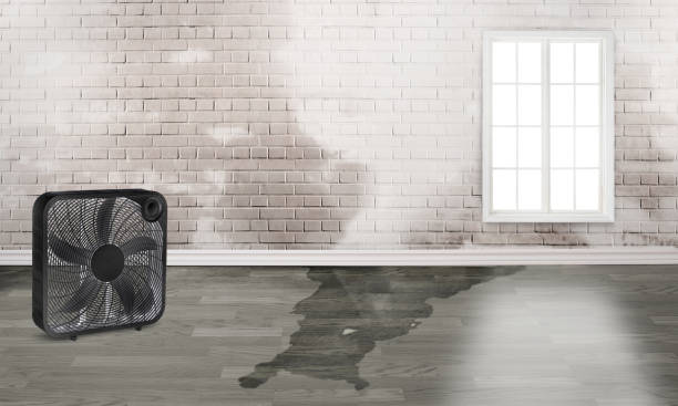 Best Flood damage cleanup  in El Paso De Robles, CA