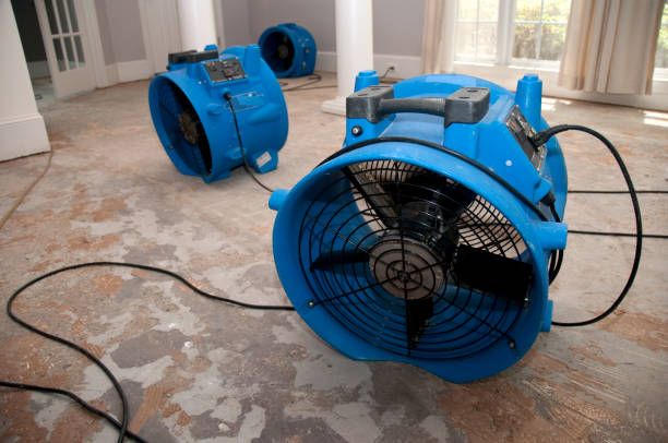 Best Carpet water damage restoration  in El Paso De Robles, CA